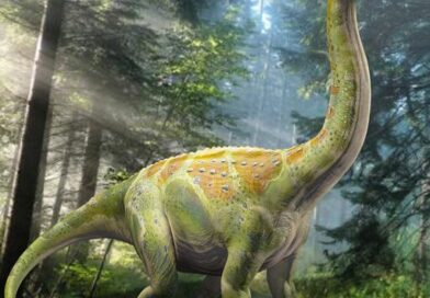 Kdo byl argentinosaurus